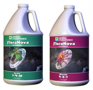 GH Flora Nova (USA)