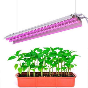 06. ФитоСвет LED